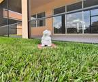 1124 Sawgrass Drive - Photo 36