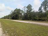 810 Palm Avenue - Photo 5