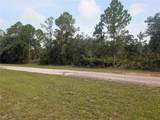 810 Palm Avenue - Photo 7