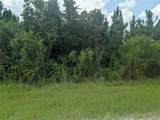 103 Tropicana Drive - Photo 2