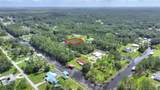 28 Amaryllis Drive - Photo 8