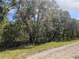 824 Gardenia Drive - Photo 7