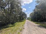 824 Gardenia Drive - Photo 8