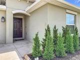 359 Macarthur Street - Photo 53