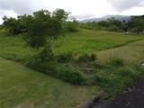  Praderas Del Yunque 26 - Photo 12