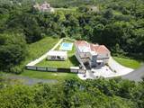 40 Roble Valley - Photo 5