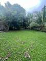 Road PR-975 Camino Rio Abajo - Photo 23