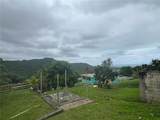 Road PR-975 Camino Rio Abajo - Photo 32