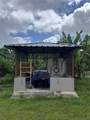 Camino Los Nieves Los Nieves 447 Int - Photo 15