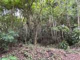 Bo. Candelaria Pr 647 Campo Nuevo -Azucena St. - Photo 2