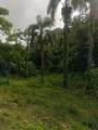  Carr 821 Km 1.9 - Photo 7