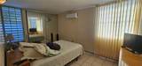 253 Calle Bauhinia - Photo 10
