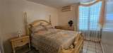 253 Calle Bauhinia - Photo 11