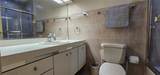 253 Calle Bauhinia - Photo 12