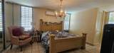 253 Calle Bauhinia - Photo 14