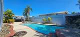 253 Calle Bauhinia - Photo 26