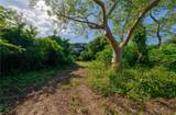 Lot 2 78 PUERTO FERRO - Photo 10