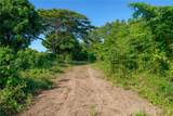 Lot 2 78 PUERTO FERRO - Photo 9