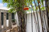 2317 Calle Cacique - Photo 12