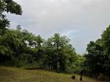 Km 2.5 Pr-858 - Photo 11