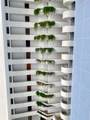 3205 Ave Isla Verde - Photo 3