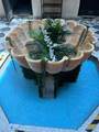 La Mallorquina 207 San Justo - Photo 20