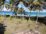 968 Camino Playa Las Picuas Km 1.6 - Photo 1