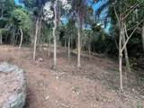  174 - Photo 8