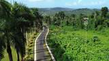 PR-191, Km 2.4 Bo. Mameyes Ii - Photo 1