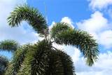 689-A Sandczar - Photo 44