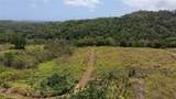 CARR. 857 KM.HM 003  Bo. Canovanillas - Photo 24