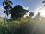 PR-160 km 10.6 Int L Ranchos Nativos - Photo 5
