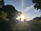 PR-160 km 10.6 Int L Ranchos Nativos - Photo 7