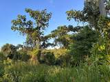 PR-160 km 10.6 Int L Ranchos Nativos - Photo 8