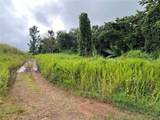 KM 0.2 INT Bo. Helec Pr 152 - Photo 3