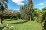 77 Orquidea - Photo 15