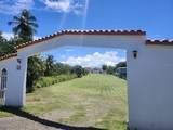 681 Palmas Altas - Photo 10