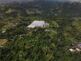 El Yunque Carr.186 Int., Km 10 - Photo 17