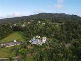 El Yunque Carr.186 Int., Km 10 - Photo 21