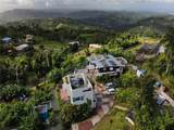 El Yunque Carr.186 Int., Km 10 - Photo 4