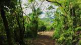  Barrio Cacao - Photo 11