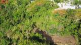  Barrio Cacao - Photo 14