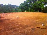  Barrio Cacao - Photo 15