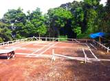  Barrio Cacao - Photo 16