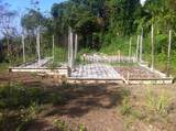  Barrio Cacao - Photo 20