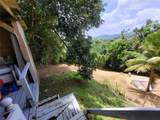 PR156 Mulas - Photo 31