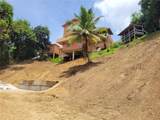 PR156 Mulas - Photo 37