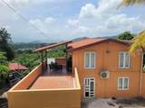 PR156 Mulas - Photo 8