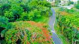 Riverside Gated Comm Riverside Street - Photo 11