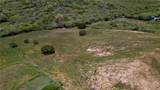 Carr 301 km 3.2 Montelcarlo State - Photo 10